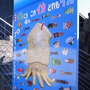 海の博物館☆牡蠣むき体験15