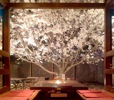 桜のテーブル
