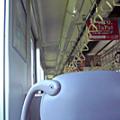 080815ho01.jpg